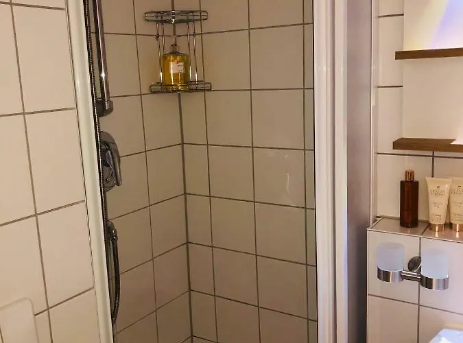 Studio Apartment Erfurt 埃尔福特